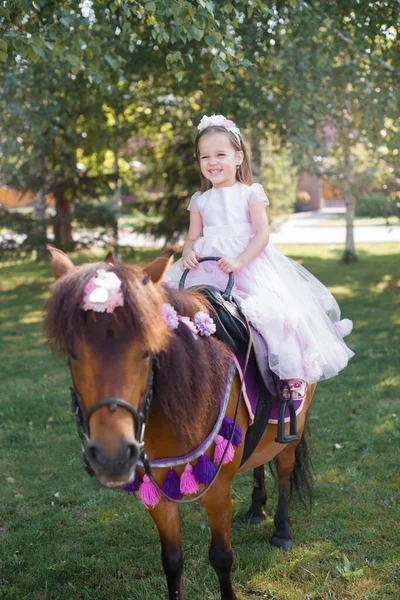 Niña en un hermoso vestido de color rosa en el parque con un pony marrón . — Foto de Stock