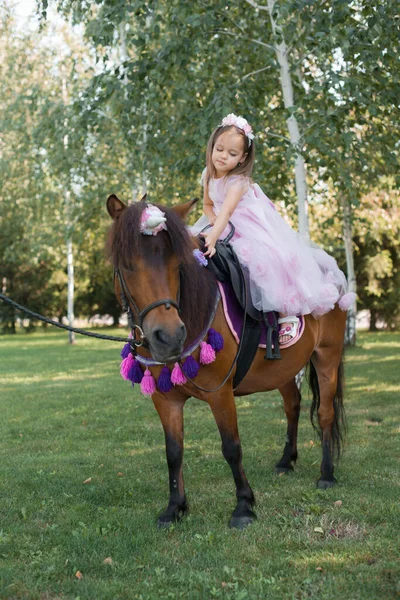 Niña en un hermoso vestido de color rosa en el parque con un pony marrón . — Foto de Stock