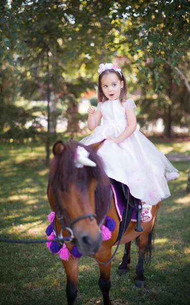 Niña en un hermoso vestido de color rosa en el parque con un pony marrón . — Foto de Stock