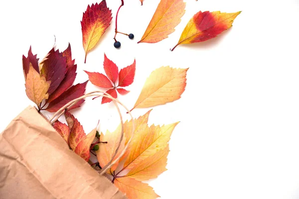 Marco plano con hojas de otoño coloridas y caja de regalo sobre un fondo blanco —  Fotos de Stock