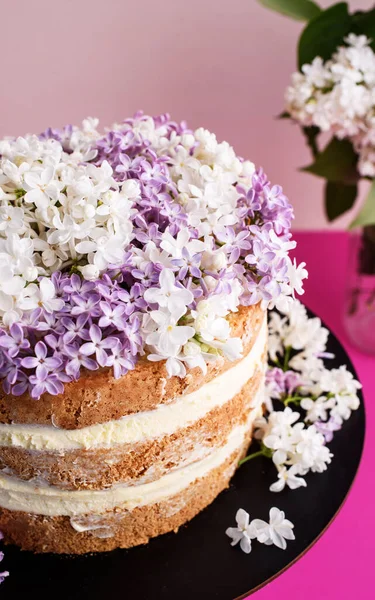 Biscuit Cake Sour Cream Soaked Coconut Shavings Pineapples Light Pink — Stock Photo, Image