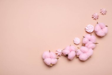 Hafif arka planda yumuşak pembe pamuk çiçekleri. Yazı için yer açın. Düz yatıyordu