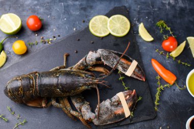 Karanlık arka planda nefis taze ıstakoz. Aromatik otlu deniz ürünleri, baharatlar ve sebzeler - sağlıklı yiyecekler, diyet veya pişirme konsepti
