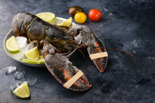 Taze ıstakoz, buz, sebze, limon, jilet filizi, koyu renk. Karanlık bir arka plan, metin için bir yer. Deniz ürünleri sağlıklı yiyecekler