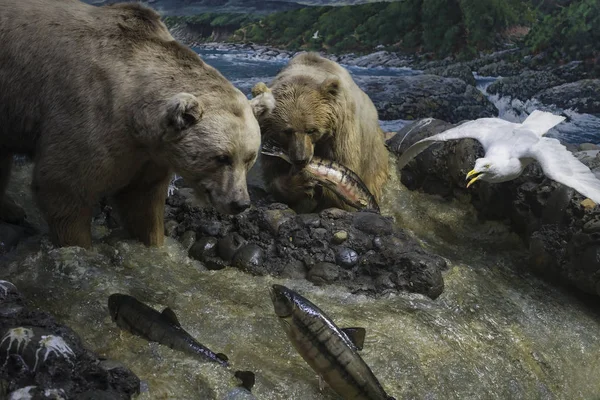 Junio 2018 Milán Italia Exposiciones Del Mundo Animal Colocadas Museo —  Fotos de Stock