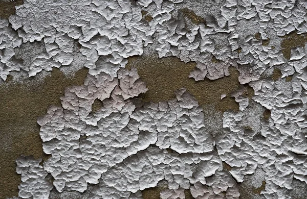 Bunte Rissige Farbe Hintergrund Gemalt Der Wand Pinsel — Stockfoto