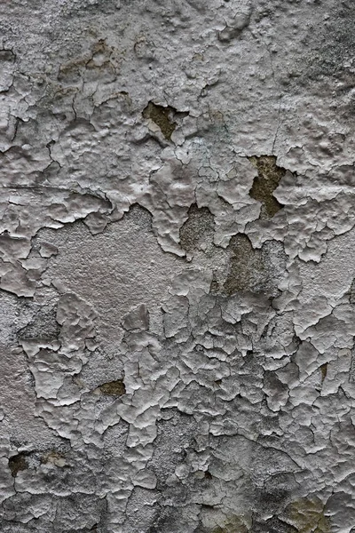 Renkli Kırık Boya Arka Plan Duvar Fırça Boyalı Boyalı — Stok fotoğraf
