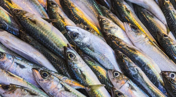 Fresh sea fish background in the Turkish market in Istanbul.