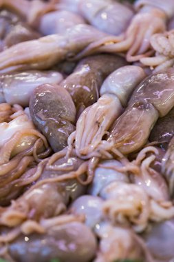 Arka plan taze deniz ürünleri balık Yengeç deniz tarağı 