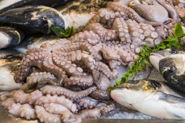 Arka plan taze deniz ürünleri balık Yengeç deniz tarağı 