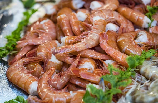 Hintergrund Der Frischen Meeresfrüchte Fisch Venusmuscheln Krabben — Stockfoto