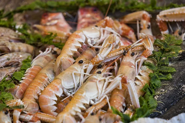 Sfondo Frutti Mare Freschi Molluschi Pesce Granchi — Foto Stock