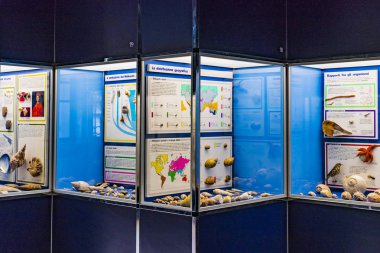 7 Haziran 2018, Milan, İtalya: Expositions evrim tarihçesi ve gelişimi yumuşakçalar Milan Doğal Tarih Müzesi. 