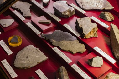 3 Eylül 2018, Viyana, Avusturya: göktaşları topluluğu temsil edilir Doğal Tarih Müzesi, Viyana. 