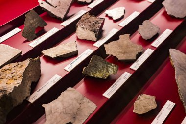 3 Eylül 2018, Viyana, Avusturya: göktaşları topluluğu temsil edilir Doğal Tarih Müzesi, Viyana. 