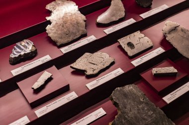 3 Eylül 2018, Viyana, Avusturya: göktaşları topluluğu temsil edilir Doğal Tarih Müzesi, Viyana. 