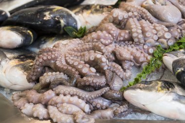 Arka plan taze deniz ürünleri balık Yengeç deniz tarağı 