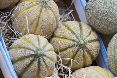 Olgun olmayan GDO kavun yakın çekim Milan piyasada