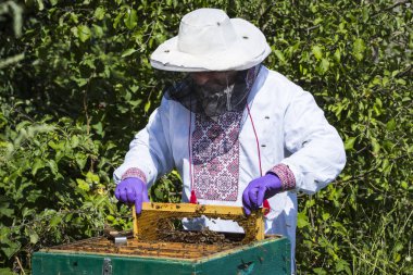 Bir adam bir arı kovanı arı bal toplama İnşaat