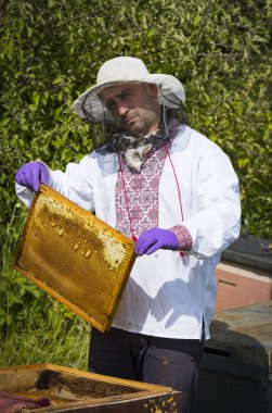 Bir adam bir arı kovanı arı bal toplama İnşaat