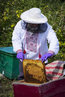 Bir adam bir arı kovanı arı bal toplama İnşaat