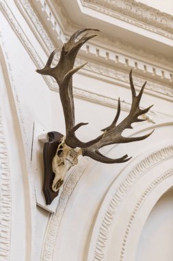 MUNİK, Almanya - 24 Kasım 2018 Hayvanların, boynuzların ve balık avlama araçlarının tarihinin sergilenmesi bir avcılık ve balıkçılık müzesidir..