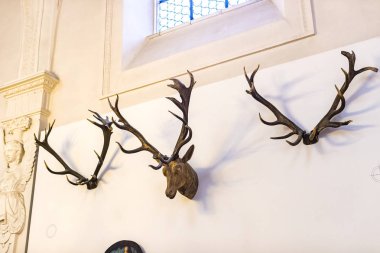 MUNİK, Almanya - 24 Kasım 2018 Hayvanların, boynuzların ve balık avlama araçlarının tarihinin sergilenmesi bir avcılık ve balıkçılık müzesidir..