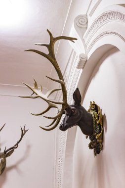 MUNİK, Almanya - 24 Kasım 2018 Hayvanların, boynuzların ve balık avlama araçlarının tarihinin sergilenmesi bir avcılık ve balıkçılık müzesidir..