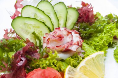 Japon mutfağı sashimi sebze ve Balık Restoran 