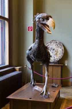 3 Eylül 2018, Viyana, AUSTRIA: Doğal Tarih Müzesi fosil dinozor sürüngenlerinin antropolojik koleksiyonunu oluşturur