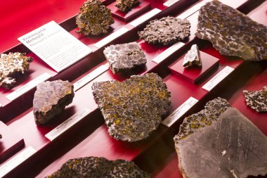 3 Eylül 2018, Viyana, Avusturya: göktaşları topluluğu temsil edilir Doğal Tarih Müzesi, Viyana. 