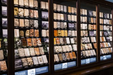 3 Eylül 2018, Viyana, Avusturya: koleksiyonu kristal taşlar ve metaller Doğal Tarih Müzesi, Viyana. 