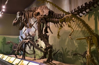 7 Haziran 2018, Milan, İtalya: Expositions tarih öncesi dinozor hayvanların Milan Doğal Tarih Müzesi. 