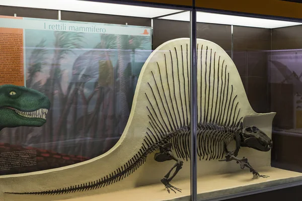 Junio 2018 Milán Italia Exposiciones Animales Dinosaurios Prehistóricos Museo Historia — Foto de Stock