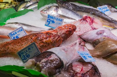 Barcelona, İspanya - 12 Ocak 2018: Barcelona gıda jamon turistler ve ziyaretçiler için şehrin sebze satan Hostafrancs bakkal market. 