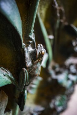 BARCELONA, SPAIN - 13 HAZİRAN 2018: Böcek, çiçek, memeli kuşların elementleri Kutsal Aile Tapınağı 'nın eski giriş kapısında.