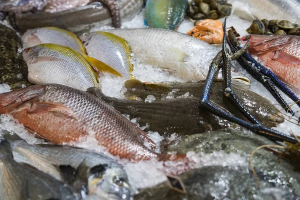 Achtergrond Van Verse Zeevruchten Vis Kokkels Krabben — Stockfoto