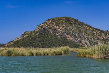 Dalyan nehir nehir Boğazı turist tekneleri ile