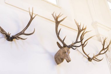 MUNİK, Almanya - 24 Kasım 2018 Hayvanların, boynuzların ve balık avlama araçlarının tarihinin sergilenmesi bir avcılık ve balıkçılık müzesidir.. 