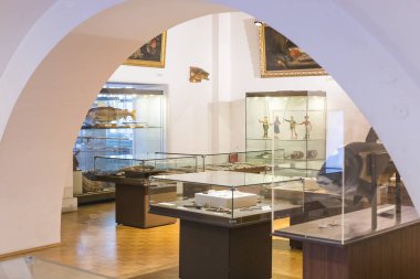 MUNİK, Almanya - 24 Kasım 2018 Hayvanların, boynuzların ve balık avlama araçlarının tarihinin sergilenmesi bir avcılık ve balıkçılık müzesidir.. 