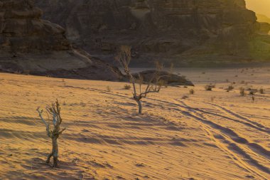 Wadi Rum çöl Jordan kum taş 