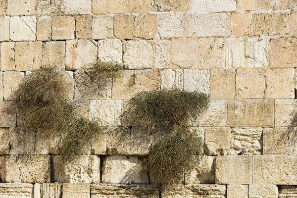 Bloques Piedra Del Muro Que Llora Jerusalén — Foto de Stock