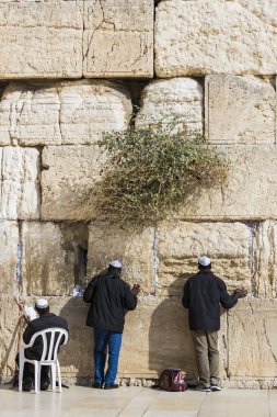Jerusalem, İsrail - 22 Kasım 2017: hacılar dua, Yahudi halkının kutsal yer ve dünyadaki Hıristiyanların ibadet Merkezi ağlama duvarı. 