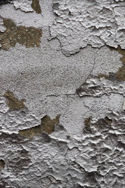 renkli arka plan üzerinde duvar fırça boyalı 