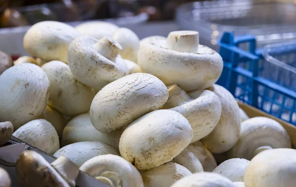 이탈리아 클로즈업에서 밀라노에서 시장에서 버섯의 — 스톡 사진