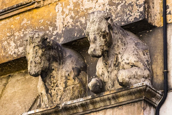 Елементи Архітектури Старої Бійня Місті Верона Італії — стокове фото