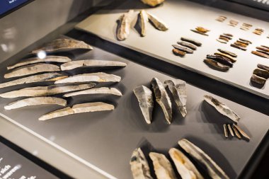 3 Eylül 2018, Viyana, Avusturya: Doğal Tarih Müzesi oluşturur geliştirme insanlık ev eşyaları ve lüks. 