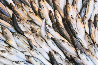 Balık pazarı yakın çekimde deniz balığı arka plan.