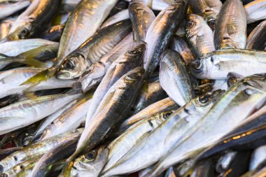 Balık pazarı yakın çekimde deniz balığı arka plan.