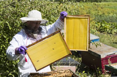 Bir adam bir arı kovanı arı bal toplama İnşaat 